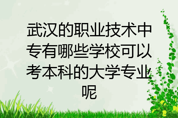 武汉的职业技术中专有哪些学校可以考本科的大学专业呢
