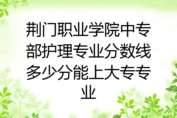 荆门职业学院中专部护理专业分数线多少分能上大专专业