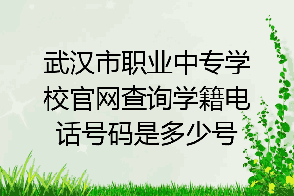 武汉市职业中专学校官网查询学籍电话号码是多少号