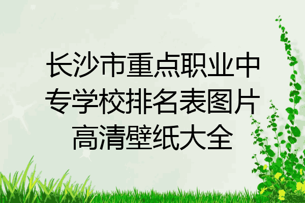 长沙市重点职业中专学校排名表图片高清壁纸大全
