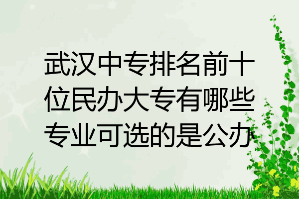 武汉中专排名前十位民办大专有哪些专业可选的是公办