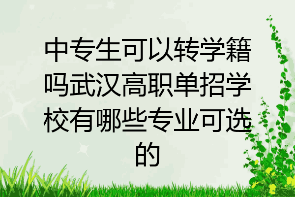 中专生可以转学籍吗武汉高职单招学校有哪些专业可选的