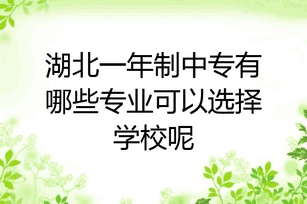 湖北一年制中专有哪些专业可以选择学校呢