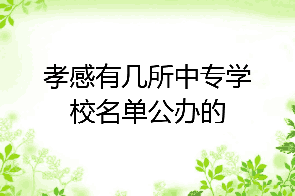孝感有几所中专学校名单公办的