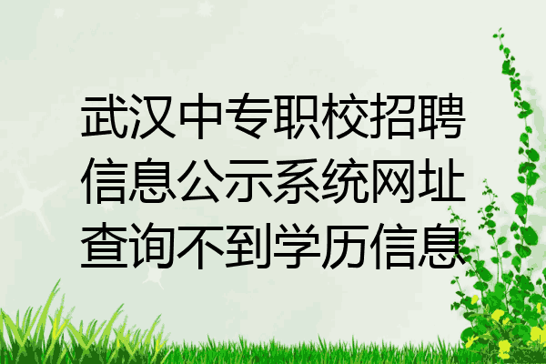 武汉中专职校招聘信息公示系统网址查询不到学历信息