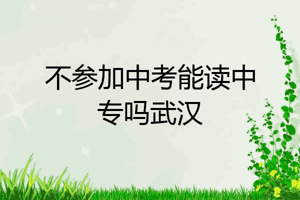 不参加中考能读中专吗武汉