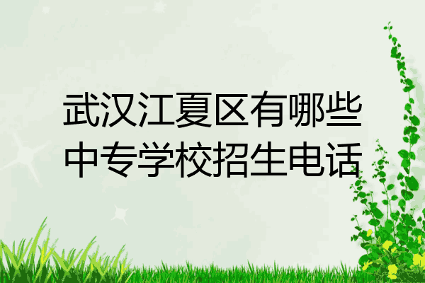 武汉江夏区有哪些中专学校招生电话