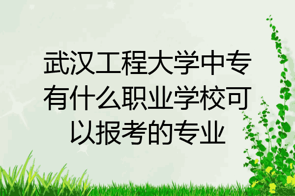 武汉工程大学中专有什么职业学校可以报考的专业