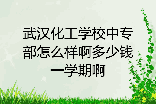 武汉化工学校中专部怎么样啊多少钱一学期啊