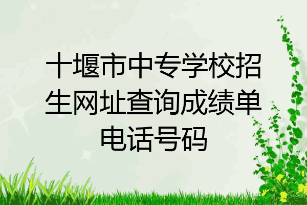 十堰市中专学校招生网址查询成绩单电话号码