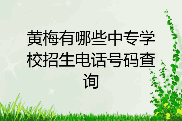 黄梅有哪些中专学校招生电话号码查询