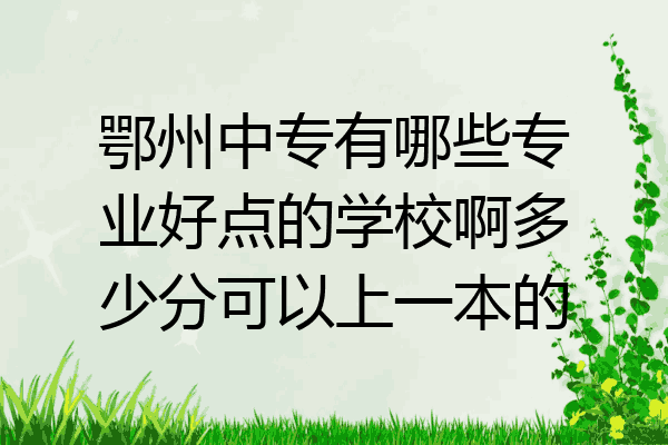 鄂州中专有哪些专业好点的学校啊多少分可以上一本的
