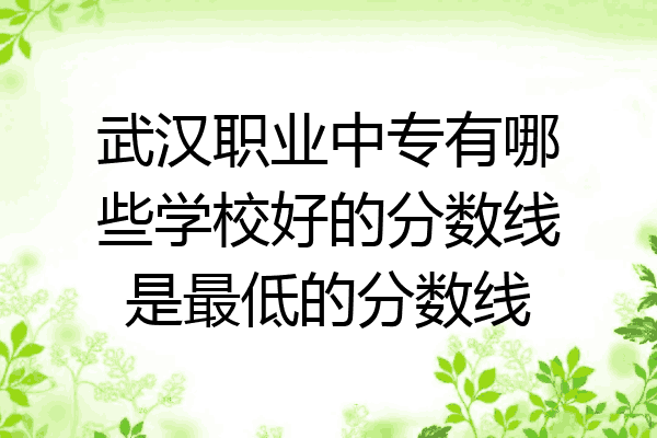 武汉职业中专有哪些学校好的分数线是最低的分数线