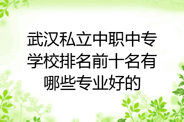 武汉私立中职中专学校排名前十名有哪些专业好的