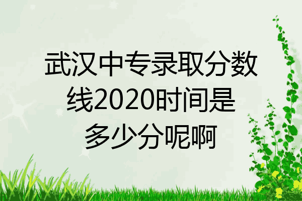 武汉中专录取分数线2020时间是多少分呢啊