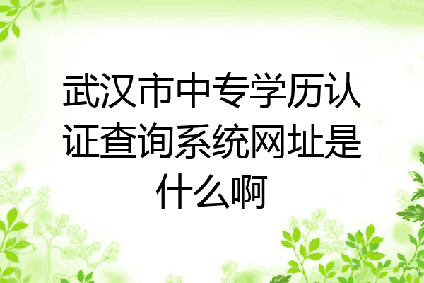 武汉市中专学历认证查询系统网址是什么啊