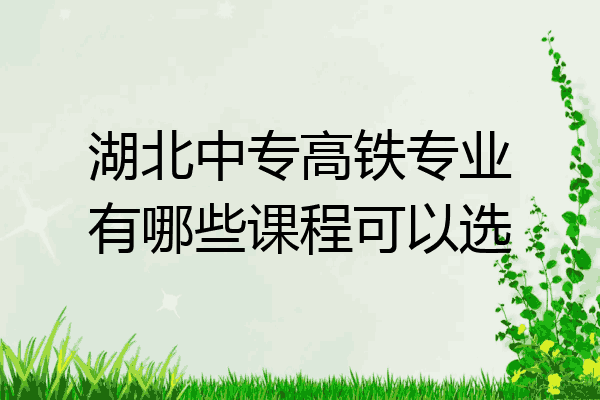 湖北中专高铁专业有哪些课程可以选