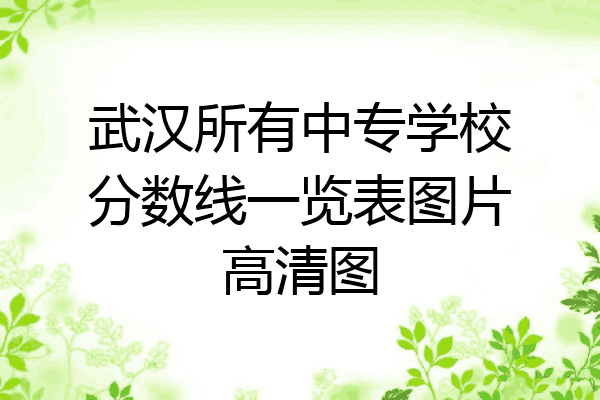 武汉所有中专学校分数线一览表图片高清图