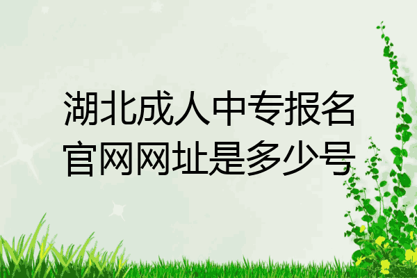 湖北成人中专报名官网网址是多少号