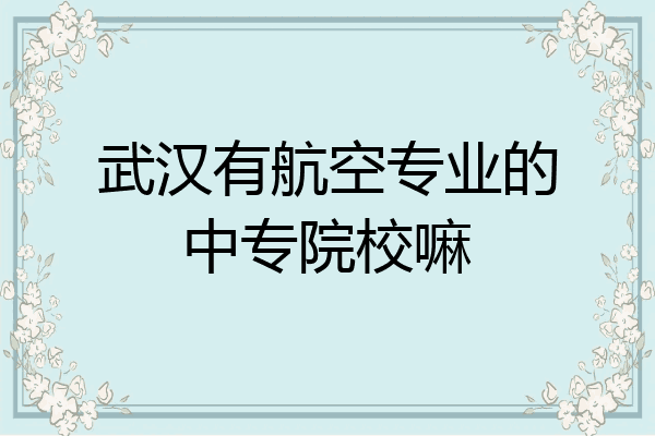 武汉有航空专业的中专院校嘛