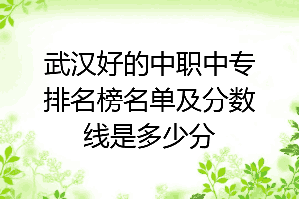 武汉好的中职中专排名榜名单及分数线是多少分