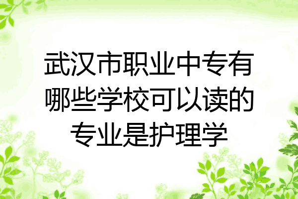 武汉市职业中专有哪些学校可以读的专业是护理学