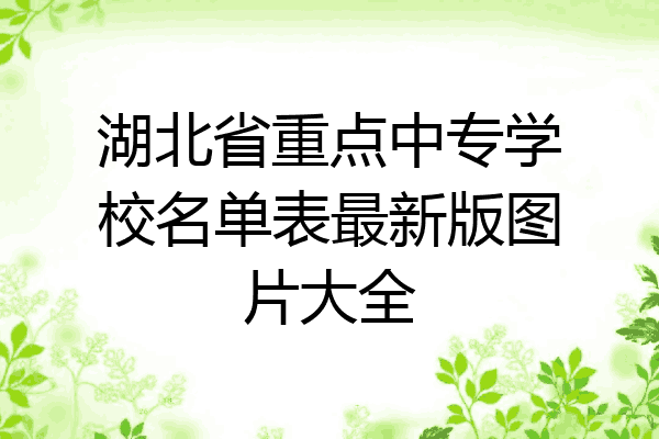 湖北省重点中专学校名单表最新版图片大全