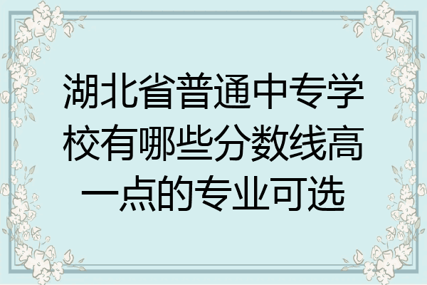 湖北省普通中专学校有哪些分数线高一点的专业可选