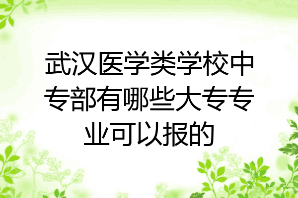 武汉医学类学校中专部有哪些大专专业可以报的