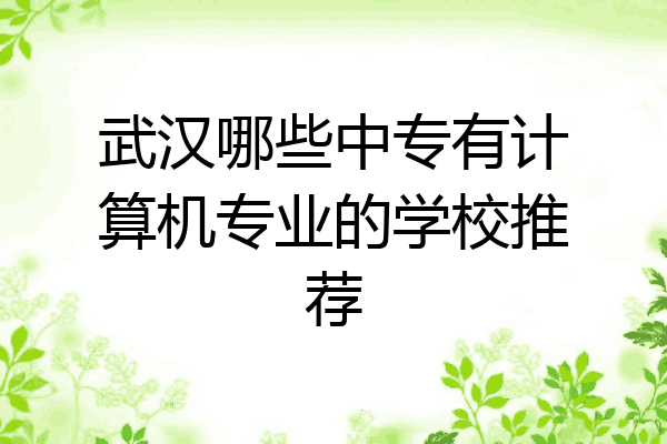 武汉哪些中专有计算机专业的学校推荐