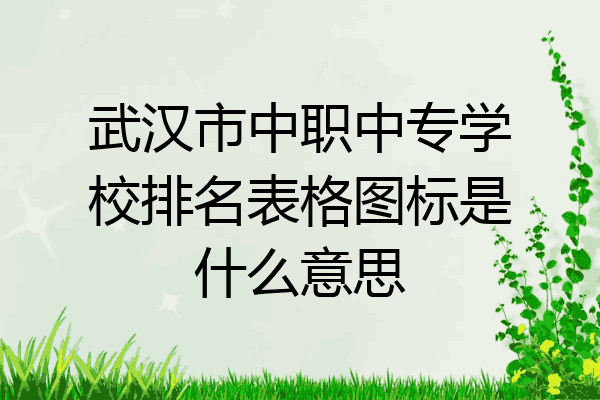 武汉市中职中专学校排名表格图标是什么意思