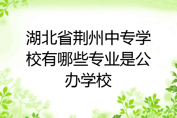 湖北省荆州中专学校有哪些专业是公办学校