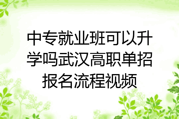 中专就业班可以升学吗武汉高职单招报名流程视频