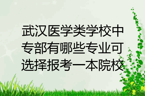 武汉医学类学校中专部有哪些专业可选择报考一本院校