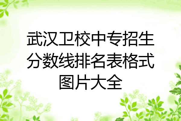 武汉卫校中专招生分数线排名表格式图片大全