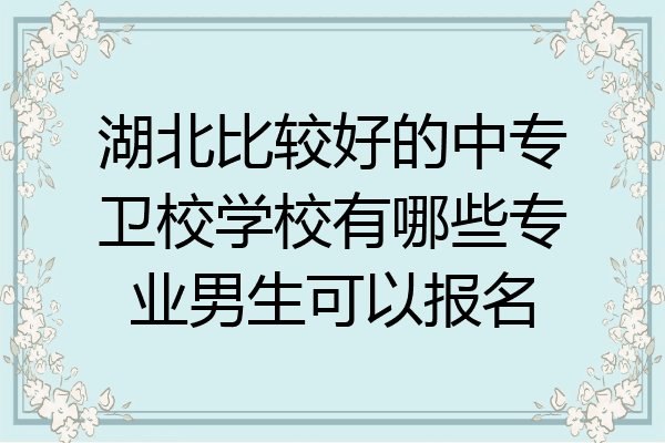 湖北比较好的中专卫校学校有哪些专业男生可以报名