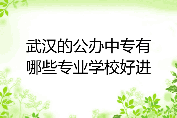 武汉的公办中专有哪些专业学校好进