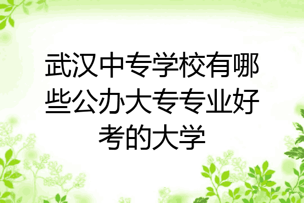 武汉中专学校有哪些公办大专专业好考的大学