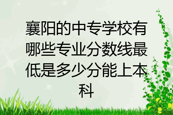 襄阳的中专学校有哪些专业分数线最低是多少分能上本科