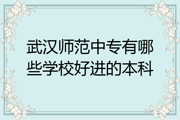 武汉师范中专有哪些学校好进的本科