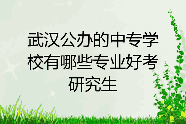 武汉公办的中专学校有哪些专业好考研究生