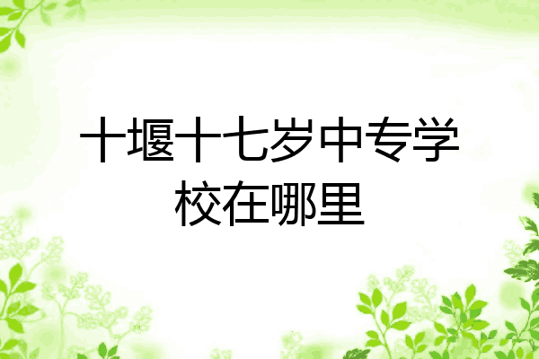 十堰十七岁中专学校在哪里