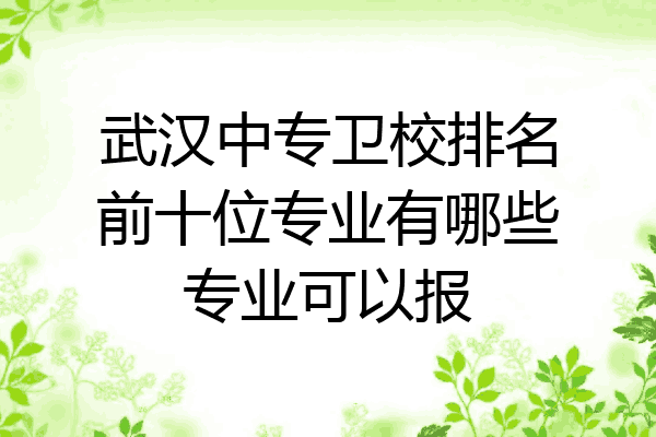 武汉中专卫校排名前十位专业有哪些专业可以报