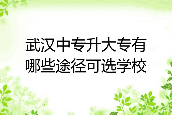 武汉中专升大专有哪些途径可选学校