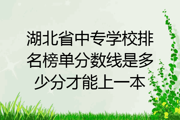 湖北省中专学校排名榜单分数线是多少分才能上一本