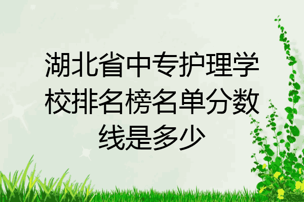 湖北省中专护理学校排名榜名单分数线是多少