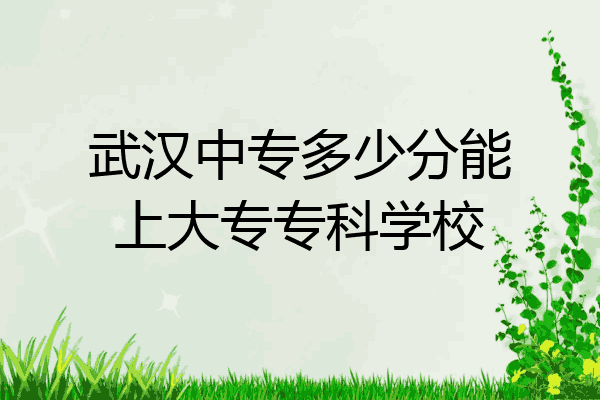 武汉中专多少分能上大专专科学校