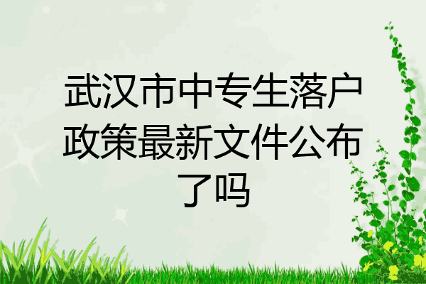 武汉市中专生落户政策最新文件公布了吗