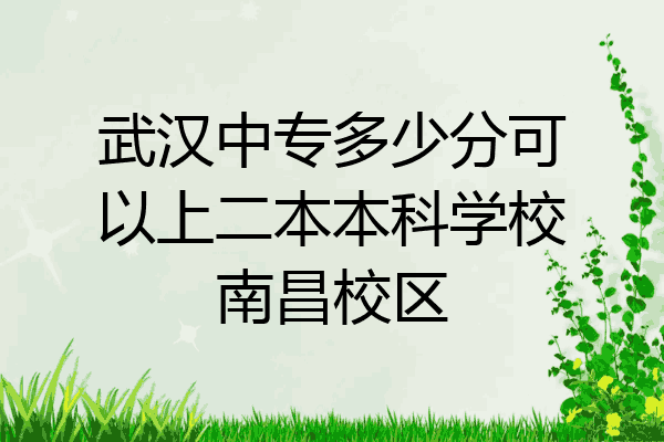 武汉中专多少分可以上二本本科学校南昌校区