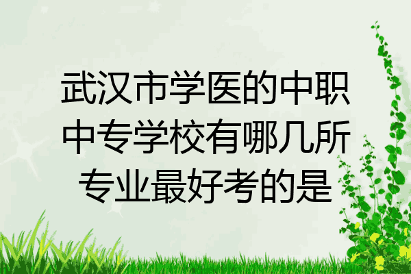 武汉市学医的中职中专学校有哪几所专业最好考的是